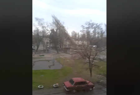 В Кременчуге огромный тополь упал на детскую площадку (видео)
