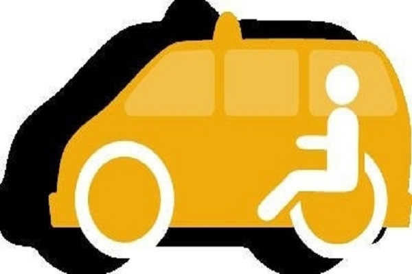 В Карловке заработает социальное такси