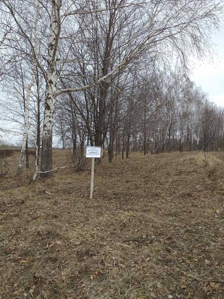 У "Шафрановой балки" установили знак о запрете заготовки березового сока