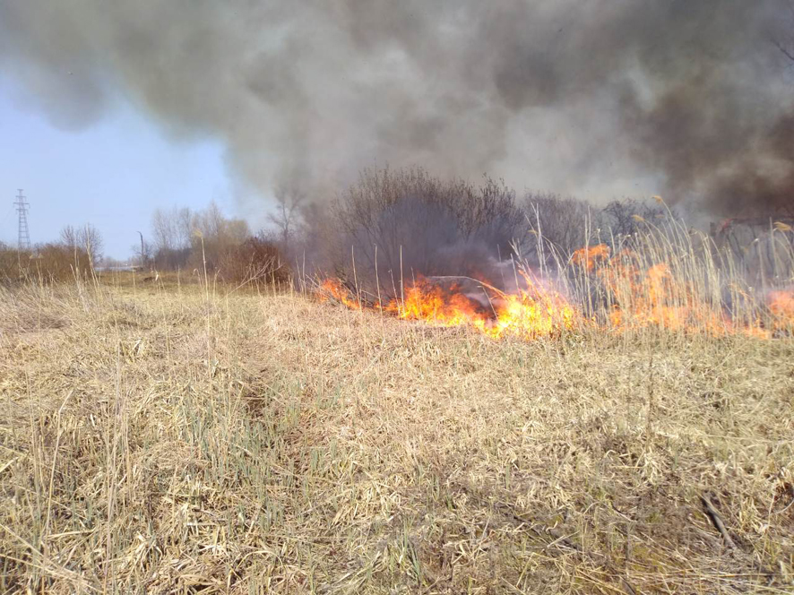 Пожары на Полтавщине: за сутки выгорело 35 гектаров травы