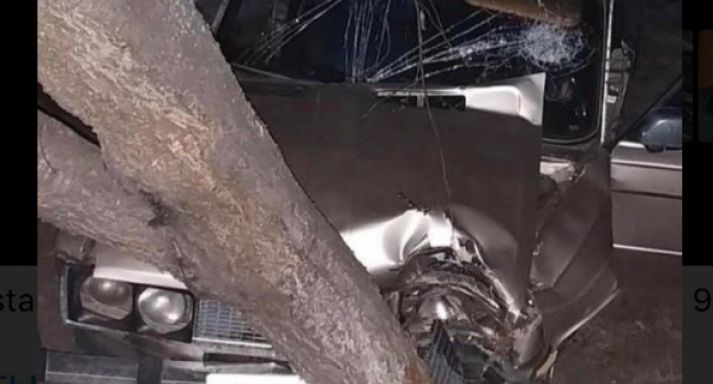 Под Кременчугом автомобиль врезался в дерево (фото)