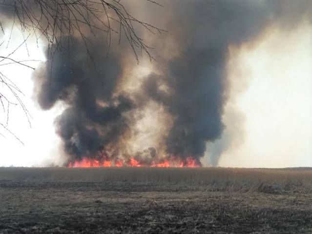 Пожары в национальном природном парке: администрация просит помощи