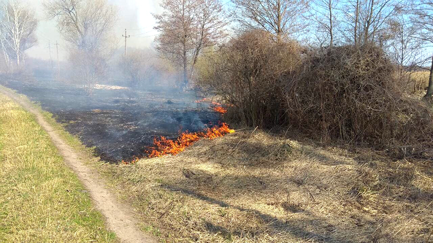 Пожары сухой травы в области: огонь подбирается к жилым домам