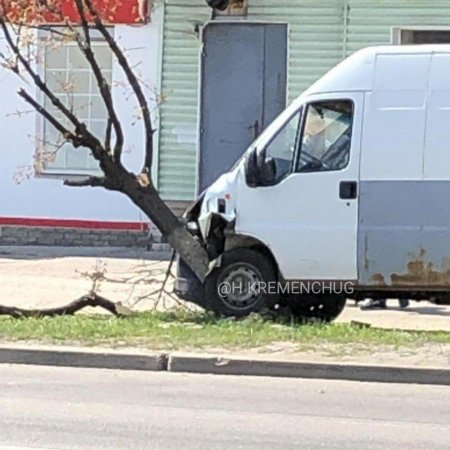В Кременчуге микроавтобус врезался в дерево (фото)