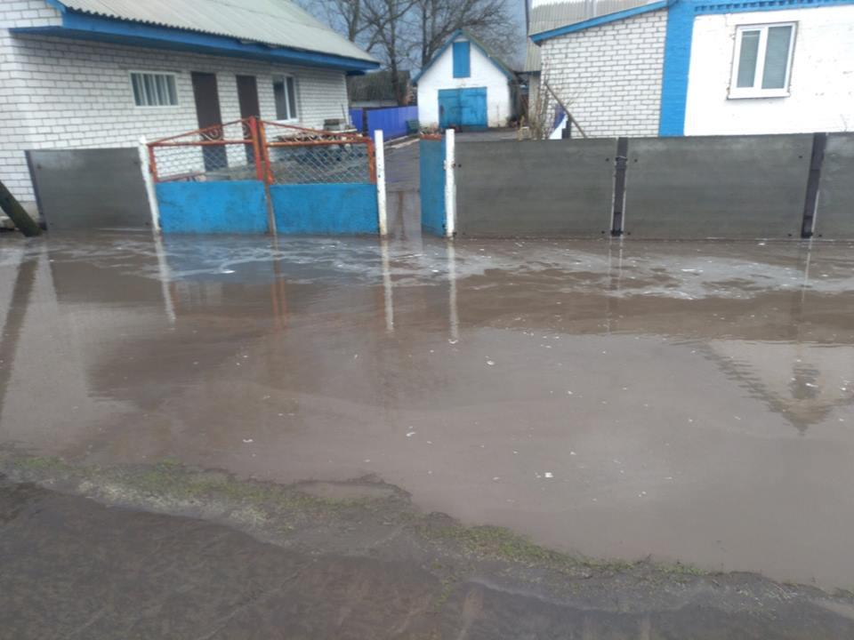 На Полтавщине из-за дождя затопило дворы частных домов (фото)
