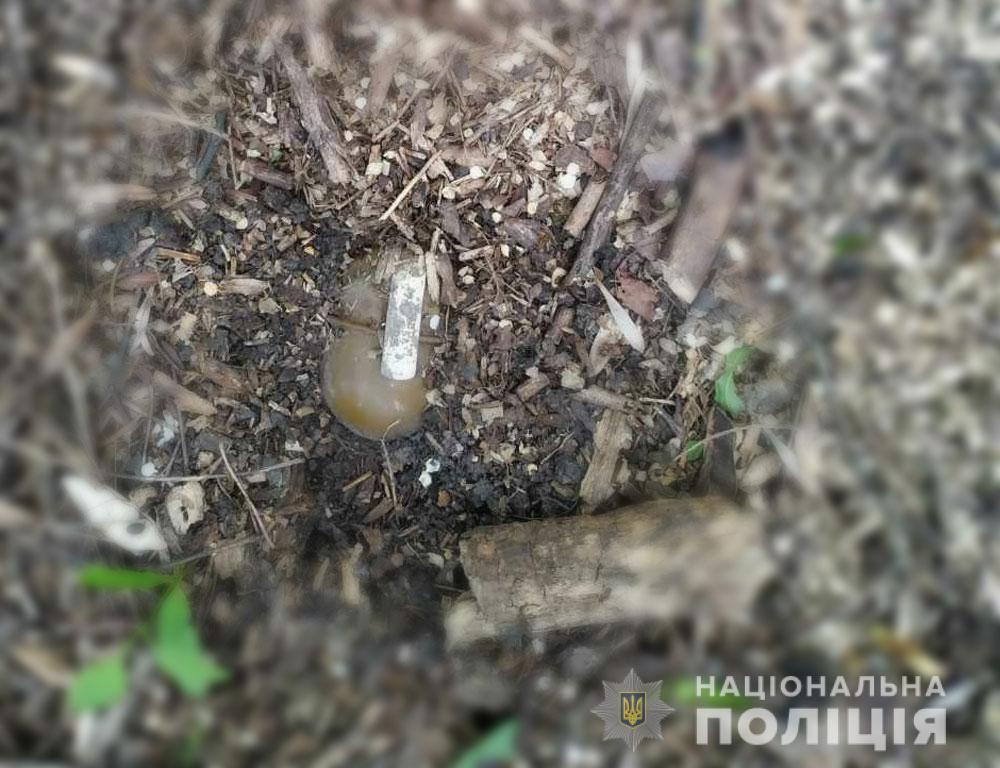 Обезвредили гранату, найденную в лесополосе у трассы Полтава - Красноград 