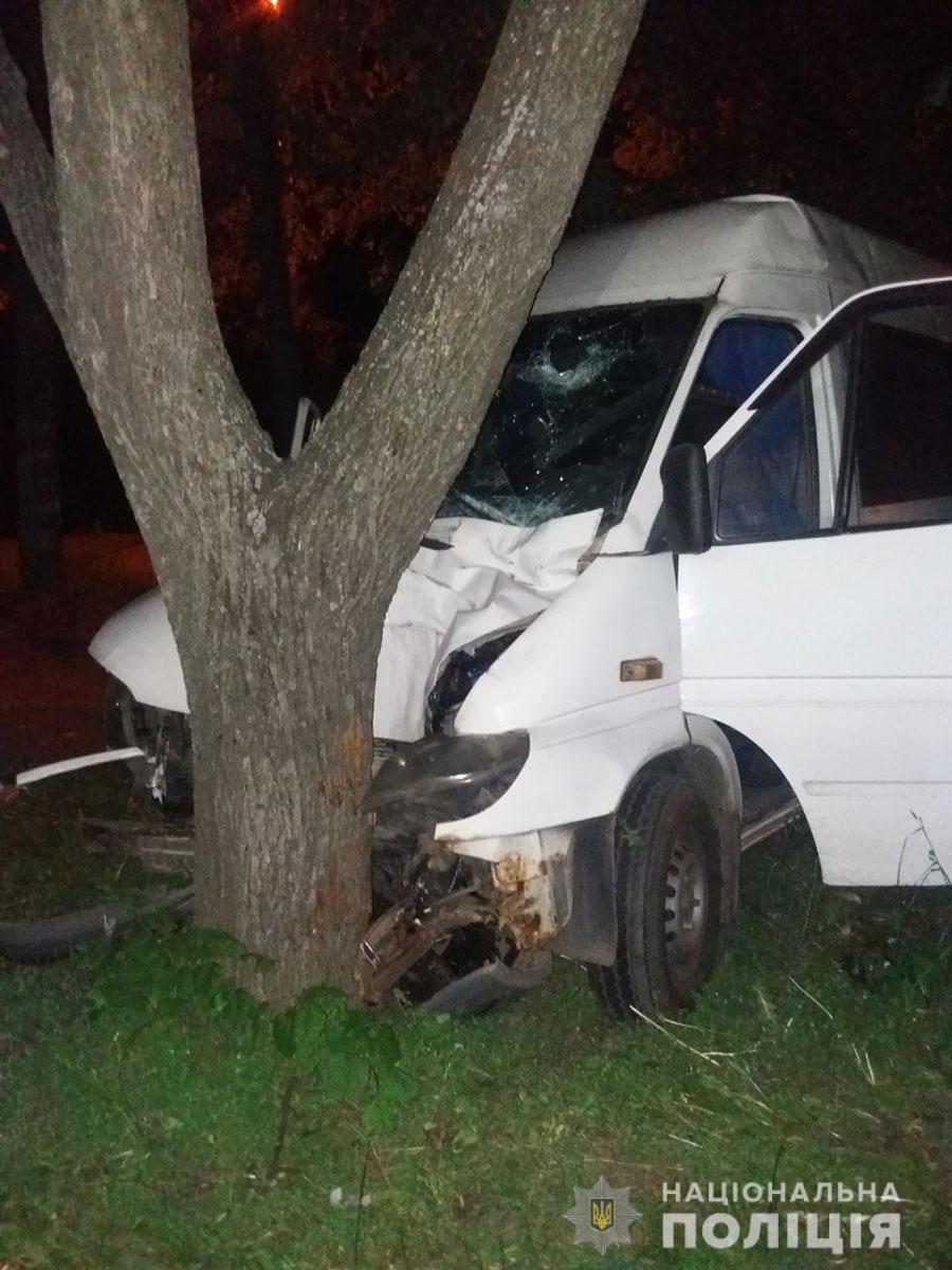 В Полтаве микроавтобус влетел в дерево (фото)
