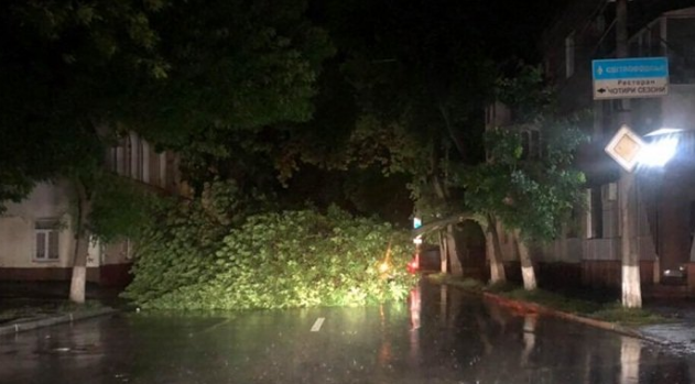 Под Полтавой рухнувшее дерево перегородило дорогу (фото)