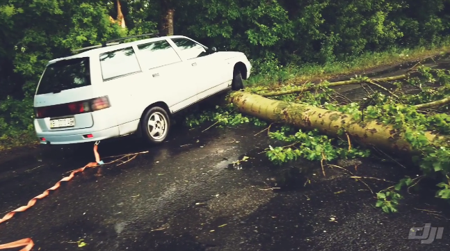 Под Полтавой дерево чуть не раздавило машину (видео)
