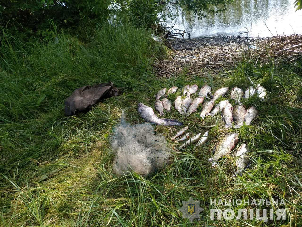 На Кременчугском водохранилище орудовал браконьер