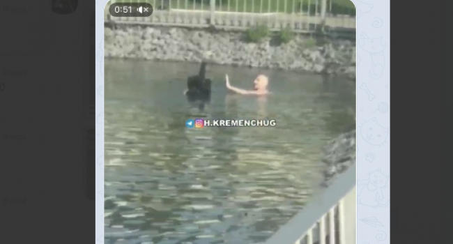 В Городском саду Кременчуга мужчина полез в озеро к лебедю (видео)