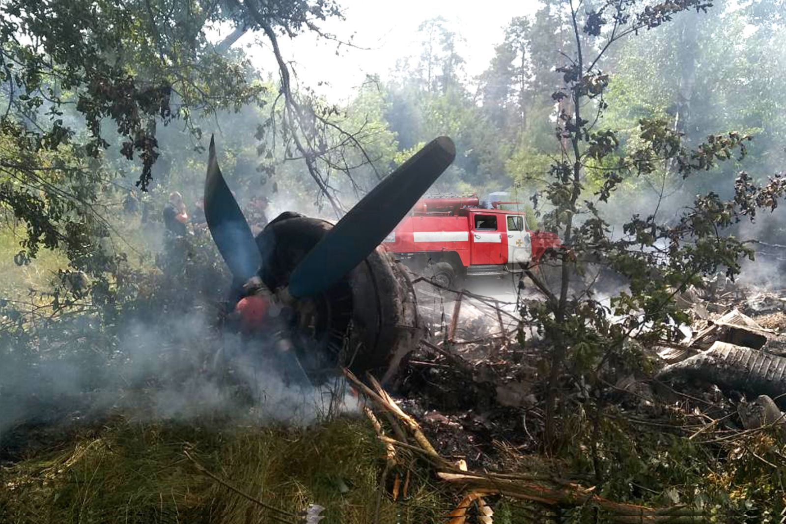 На Полтавщине упал самолет (фото)