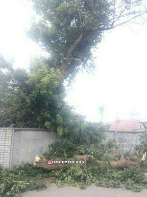 деревья, повалило, кременчуг