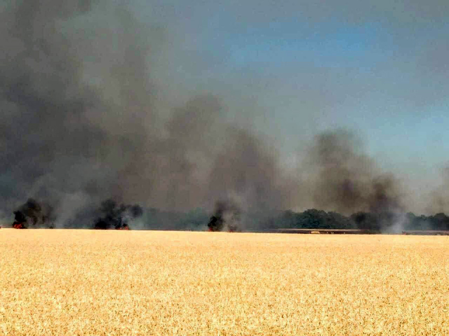 На Полтавщине полыхало больше 20 гектаров пшеницы (фото)