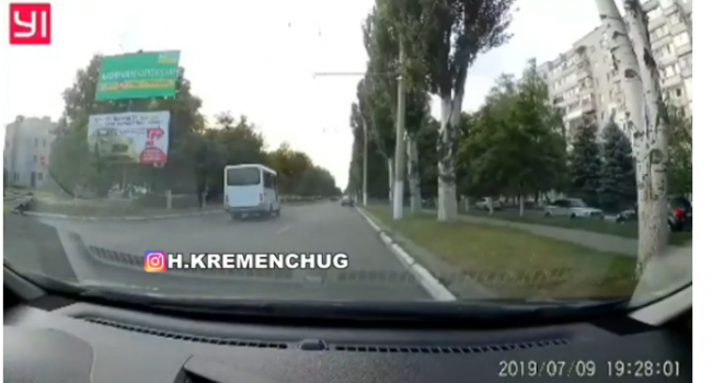 На Полтавщине водитель маршрутки сбил собаку, не притормозив (видео)