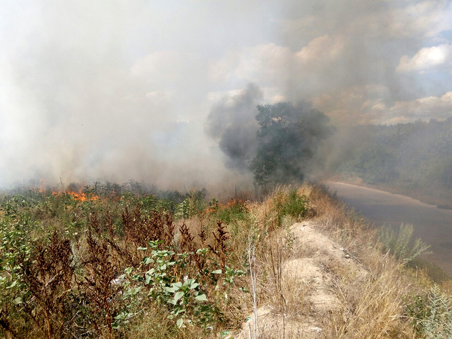 На Полтавщине массово горит сухая трава (фото)