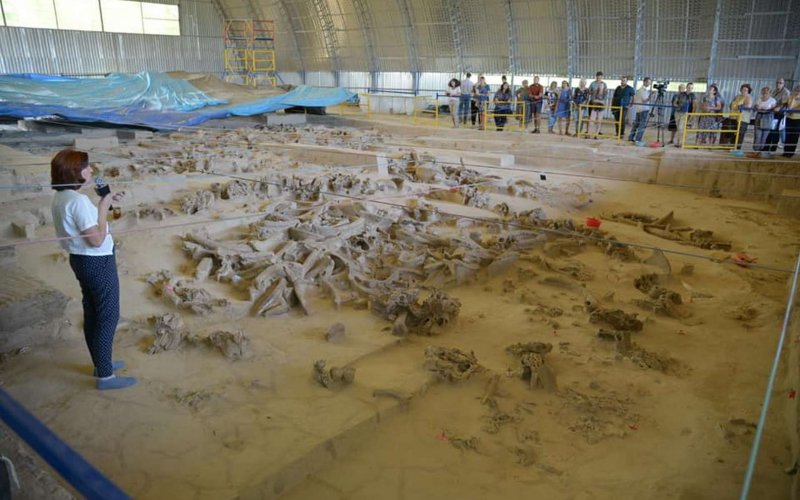 Жилье из костей мамонтов: на Полтавщине будет новый археологический маршрут