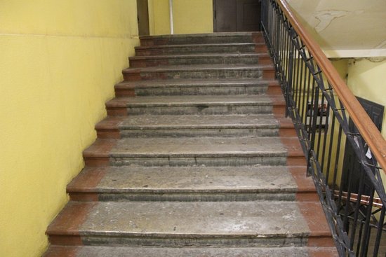 Тело убитой женщины в Кременчуге спрятали на лестнице многоэтажки