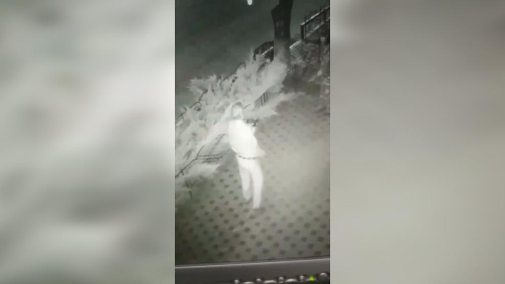 Выстрелы в голову: охранника кафе ранили после сделанного им замечания (видео)