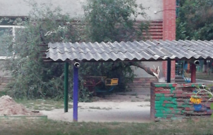 В Полтаве во дворе детского сада рухнула большая ветка дерева (фото)