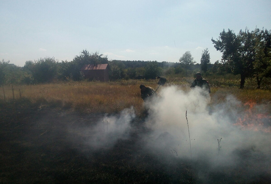 На Полтавщине огонь от сухой травы подбирался к дачам (фото)