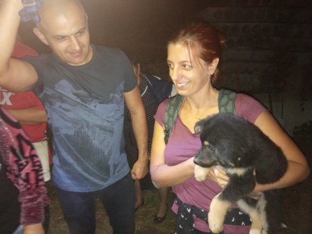 В Кременчуге спасли щенков (фото)