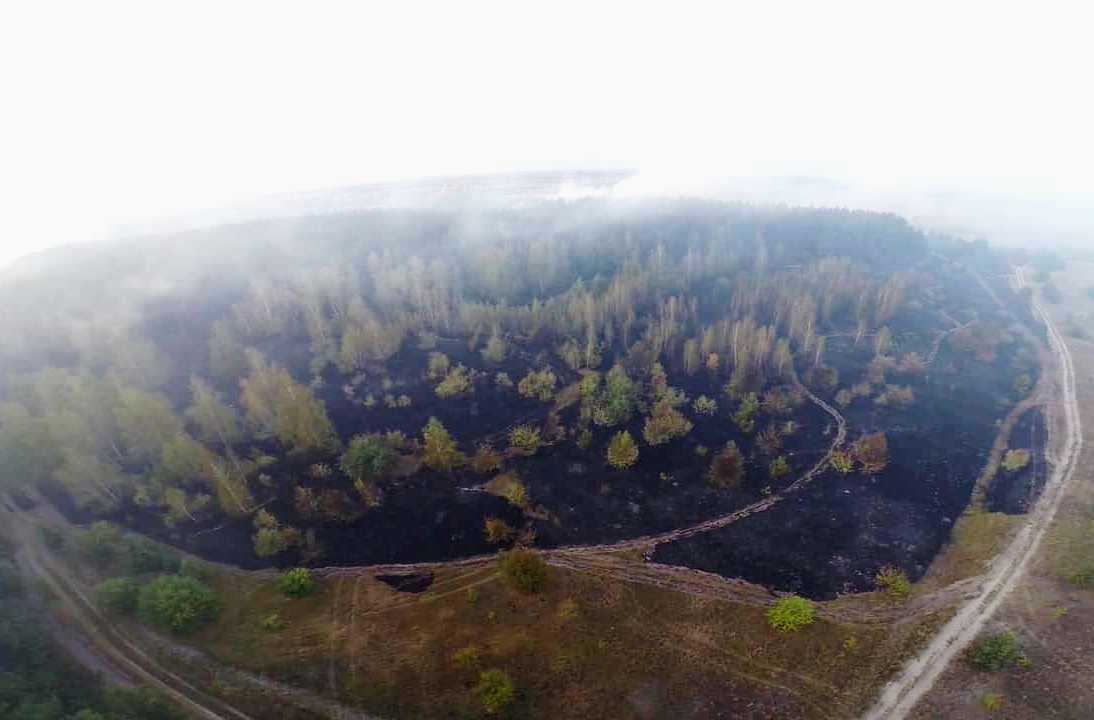 Масштабный лесной пожар на Полтавщине тушили самолетами (фото)
