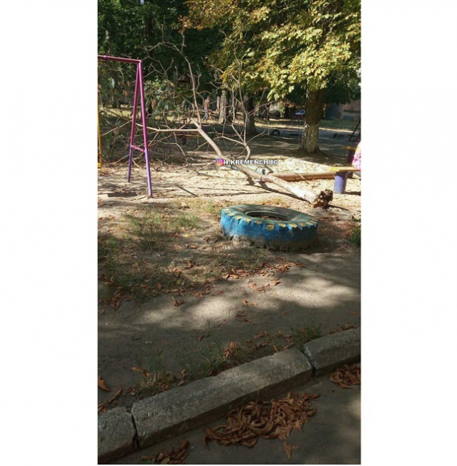 В Кременчуге на детскую площадку рухнуло дерево (фото)