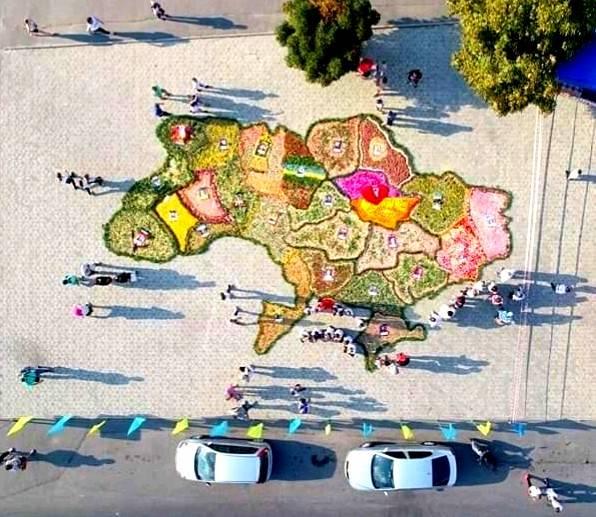 На Полтавщине цветущую карту Украины показали с высоты птичьего полета (фото)