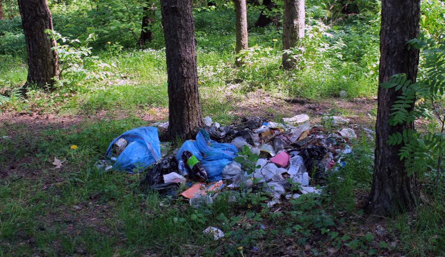 В Кобеляках коммунальщики свозят мусор в лес - полиция