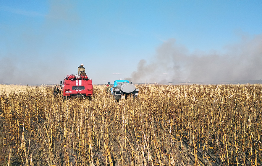 На Полтавщине - пожар на кукурузном поле (фото)