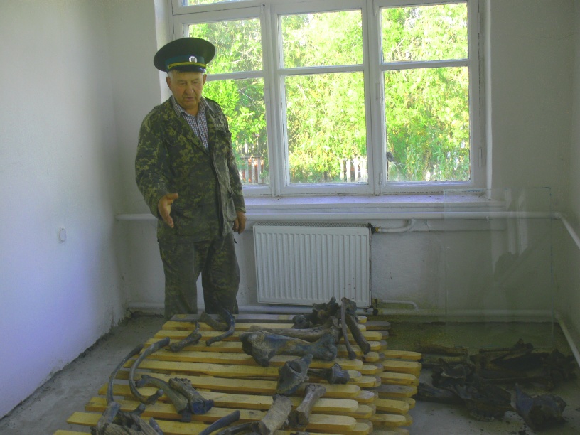 В природном парке на Полтавщине находят кости вымершего животного
