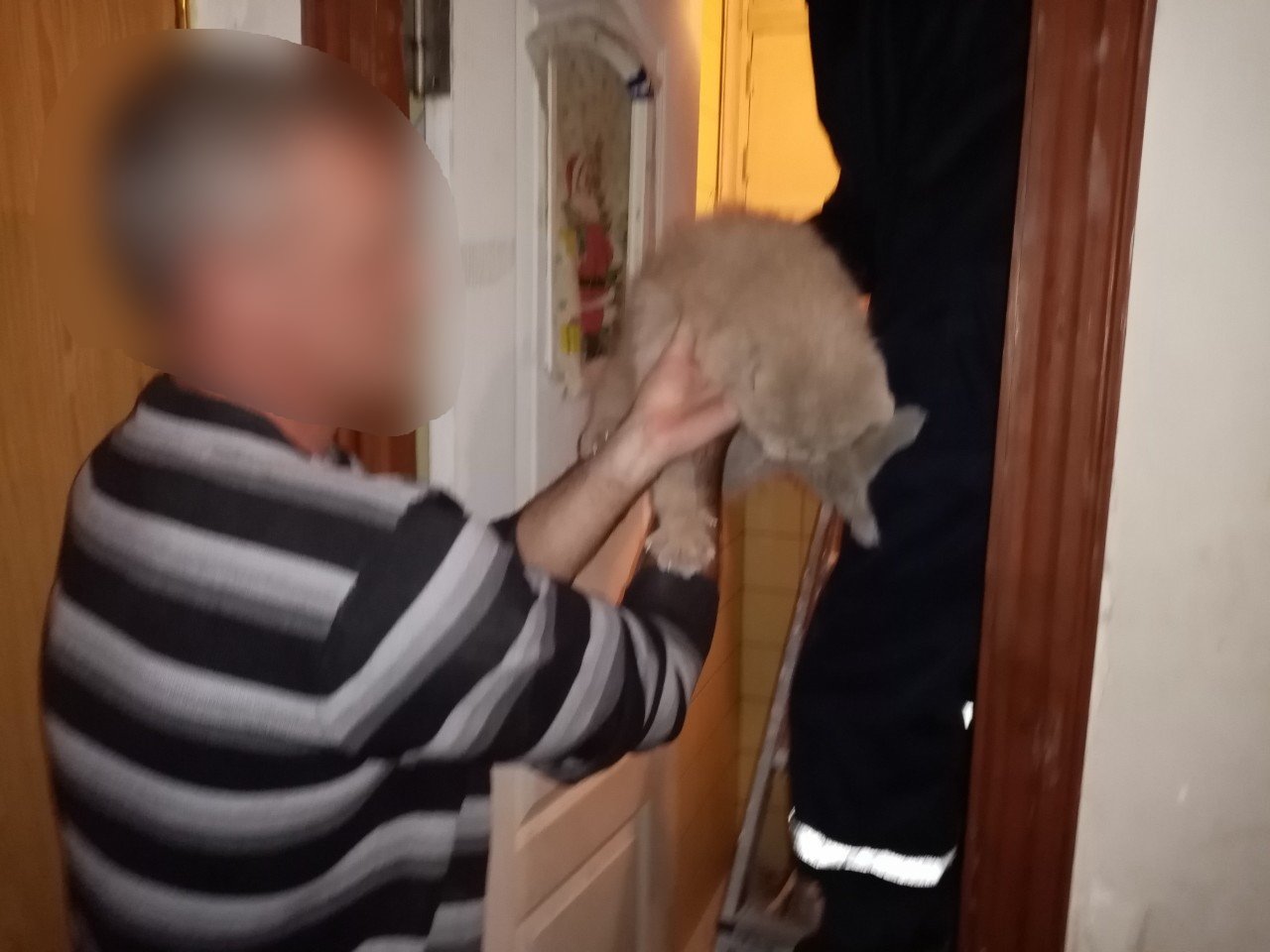 В Кременчуге кот застрял в вентиляционной шахте (фото)