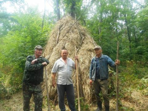 Полтавские лесники готовятся подкармливать косуль и кабанов