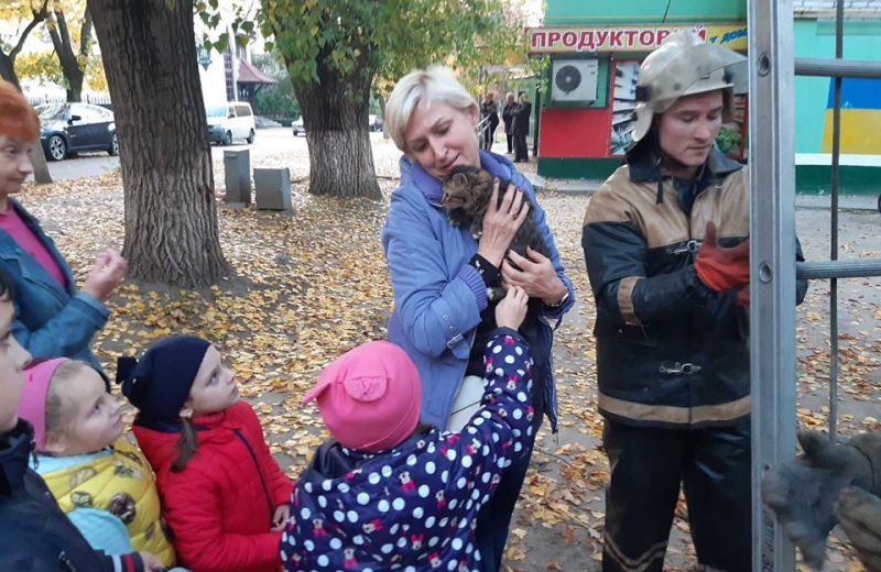 В Кременчуге прошла кошачья спасательная операция (фото)