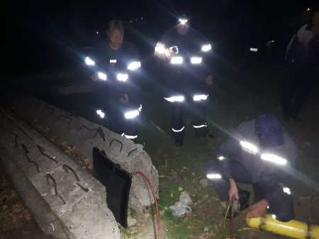 В Кременчуге спасали котенка из-под бетонной плиты
