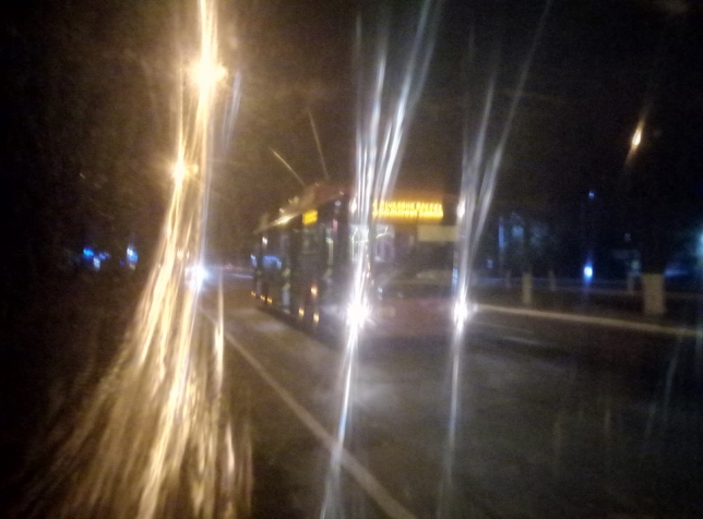 Кременчужане ехали в троллейбусе, вокруг которого сыпались искры от оборванного провода (фото)