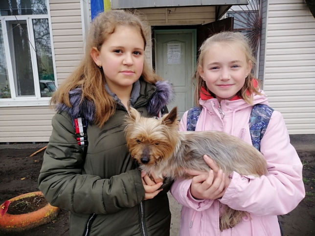 Кременчугские школьницы спасли слепую породистую собаку (фото)