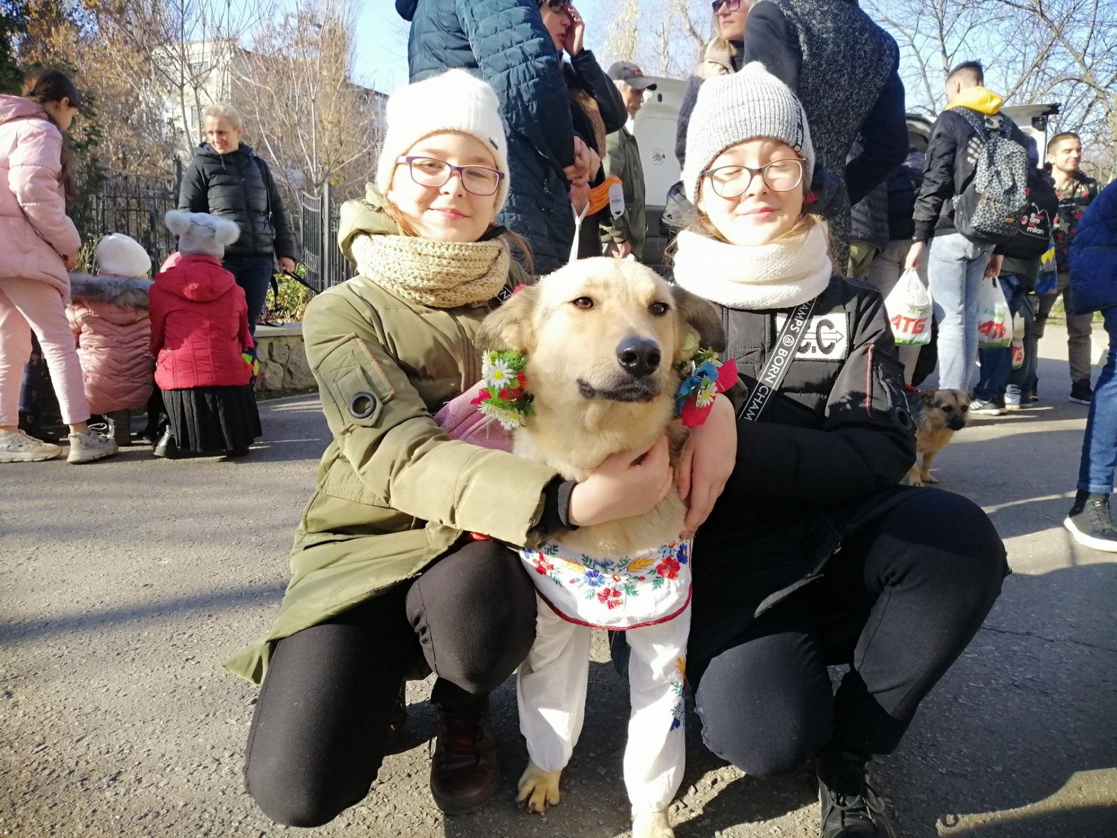собаки, вышиванки, кременчуг