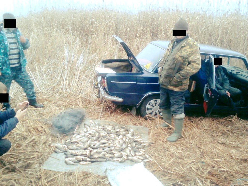 В природном парке браконьер выловил больше 30 килограммов рыбы