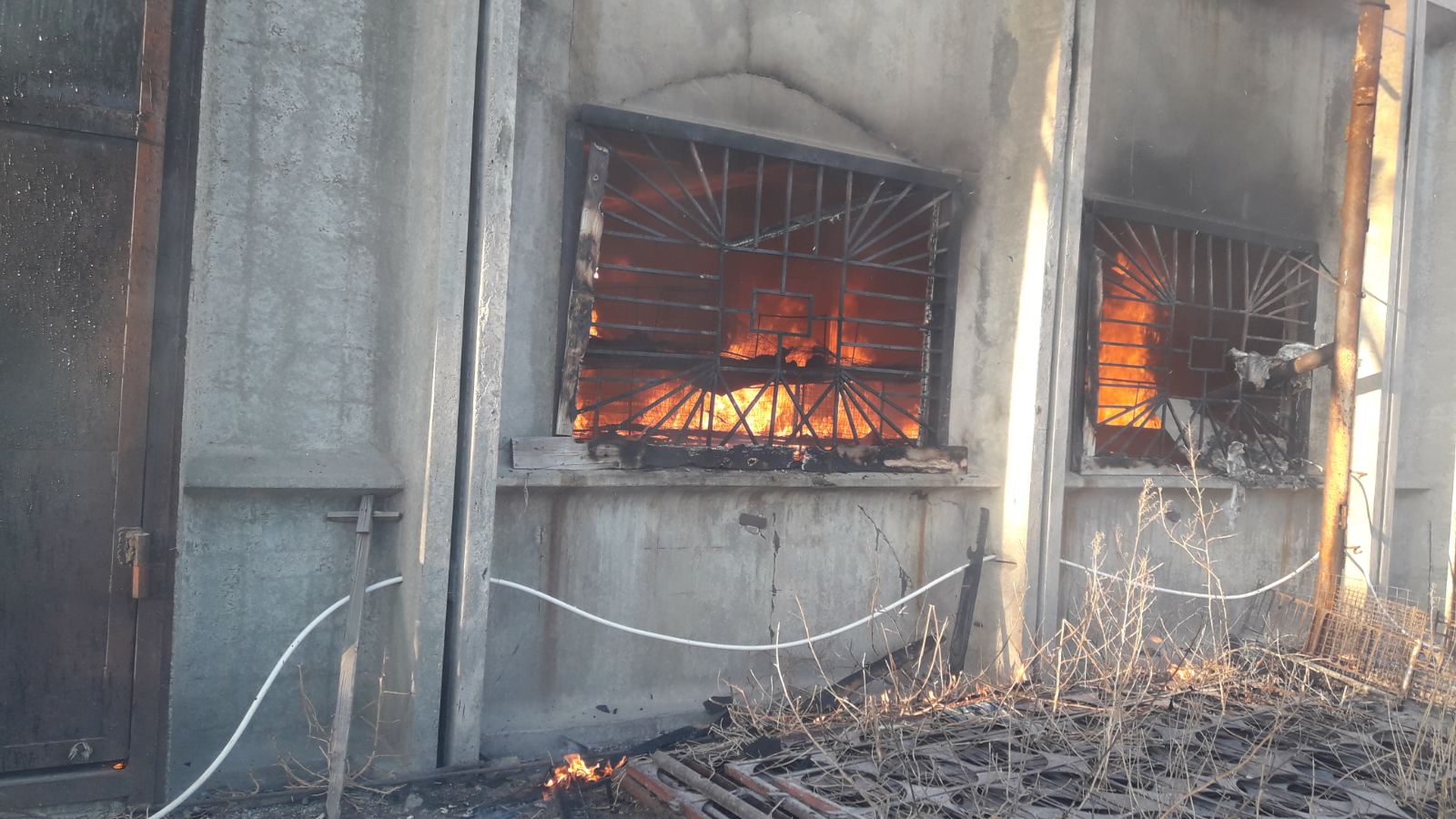 На Полтавщине сгорело 120 птиц