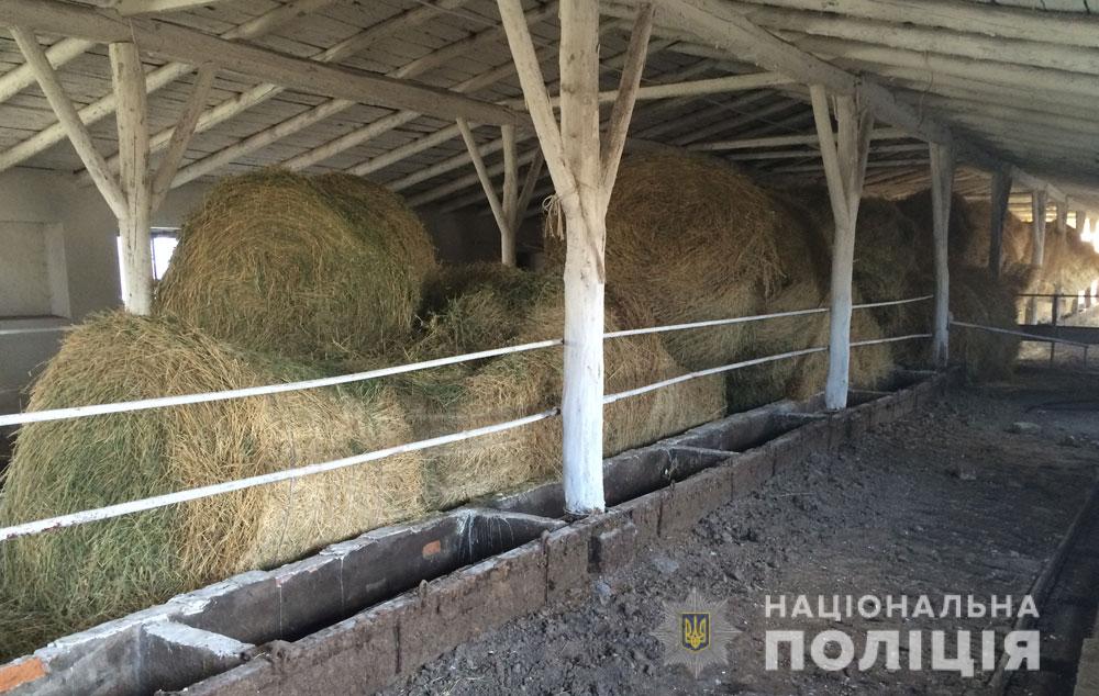 На Полтавщине с фермы украли тюки сена и соломы