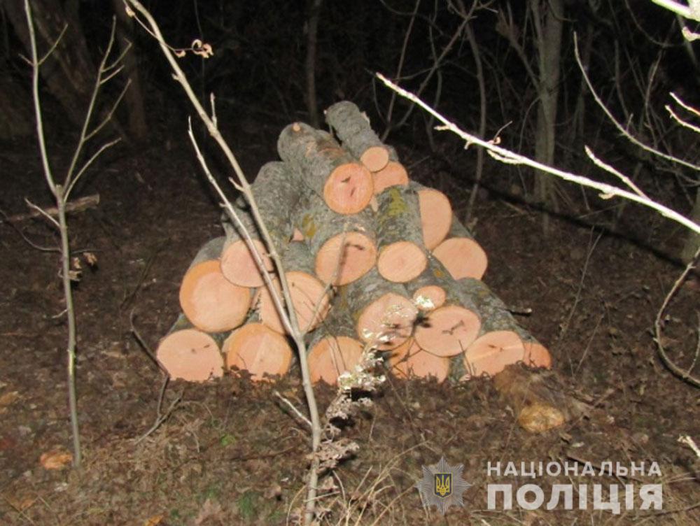 На Полтавщине в лесничестве вырубили деревья