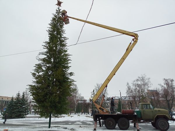 В Лубнах устанавливают 18-метровую елку (фото)