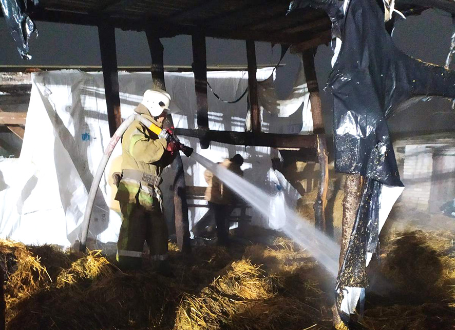 В Хорольском районе спасатели ликвидировали пожар в хозяйственной постройке