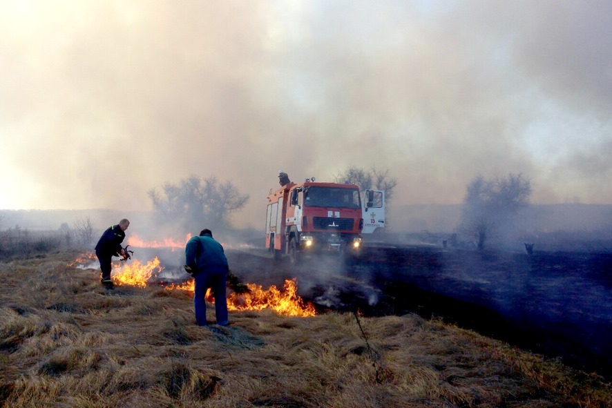 С начала года на Полтавщине возникло 267 пожаров в экосистемах