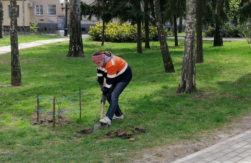 В Полтаве высадили рекордное количество деревьев