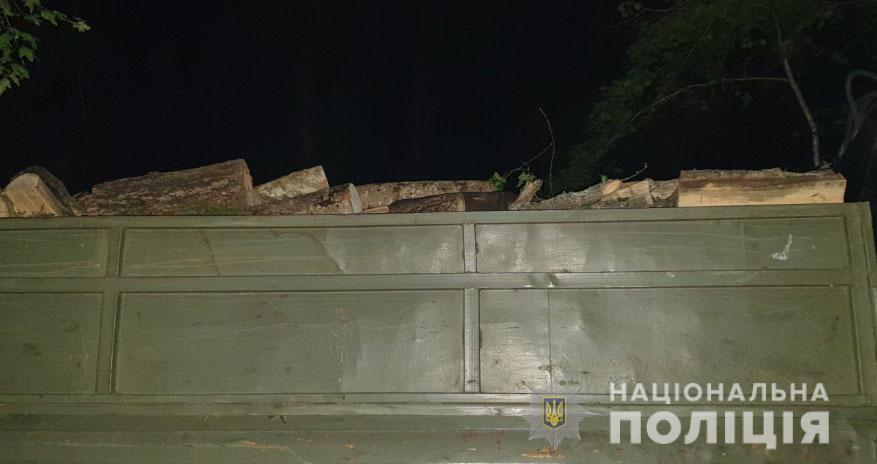 Полтавские Полицейские разоблачили расхитителя дров