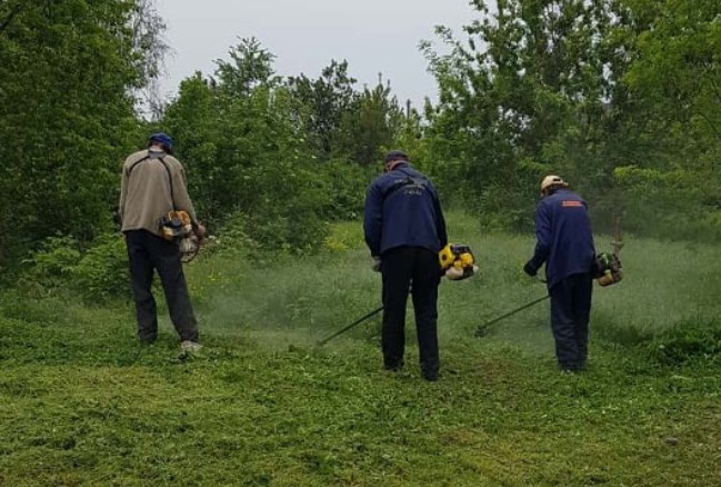 Коммунальщики призвали жителей Кременчуга убирать сорняки