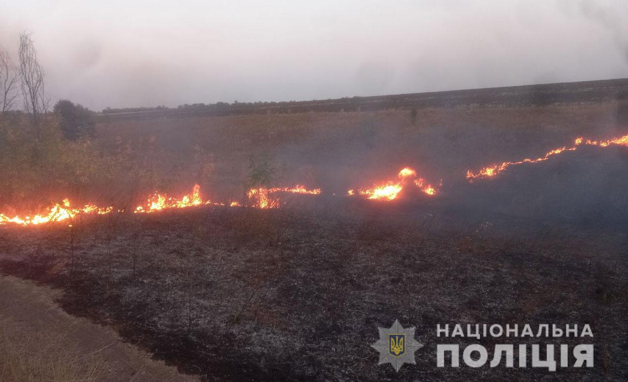 Полиция Полтавщины расследует возгорание кукурузного поля